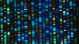 NIH’s ‘All of Us’ project aims to make genomic research more inclusive : Shots