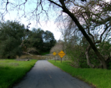 Two-hour Recovery Ride – BionicOldGuy